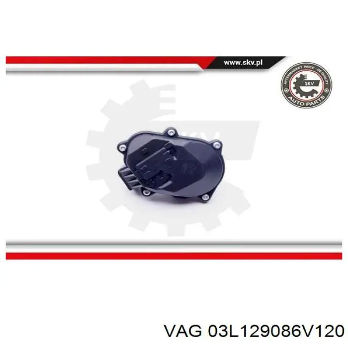 Compre 03L129086V120 VAG Tubo coletor de admissão
