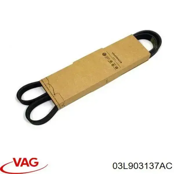 Correia dos conjuntos de transmissão VAG 03L903137AC preço, a partir de 12,57 USD