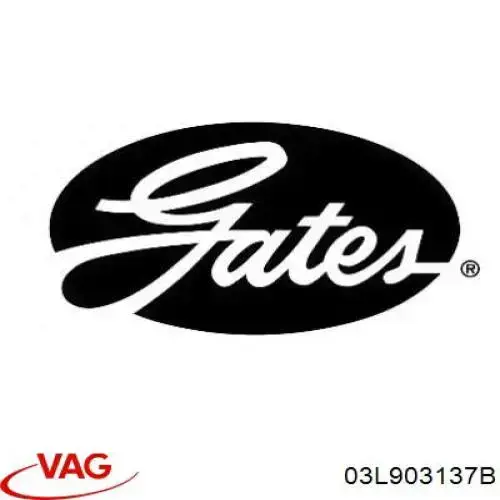 Correia dos conjuntos de transmissão VAG 03L903137B preço, a partir de 9,73 USD