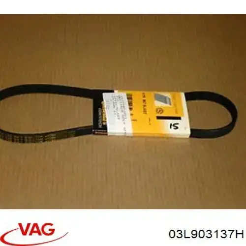 Correia dos conjuntos de transmissão VAG 03L903137H preço, a partir de 26,18 USD
