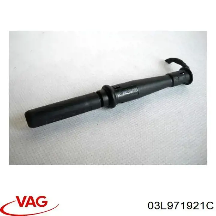03L971921C VAG 
