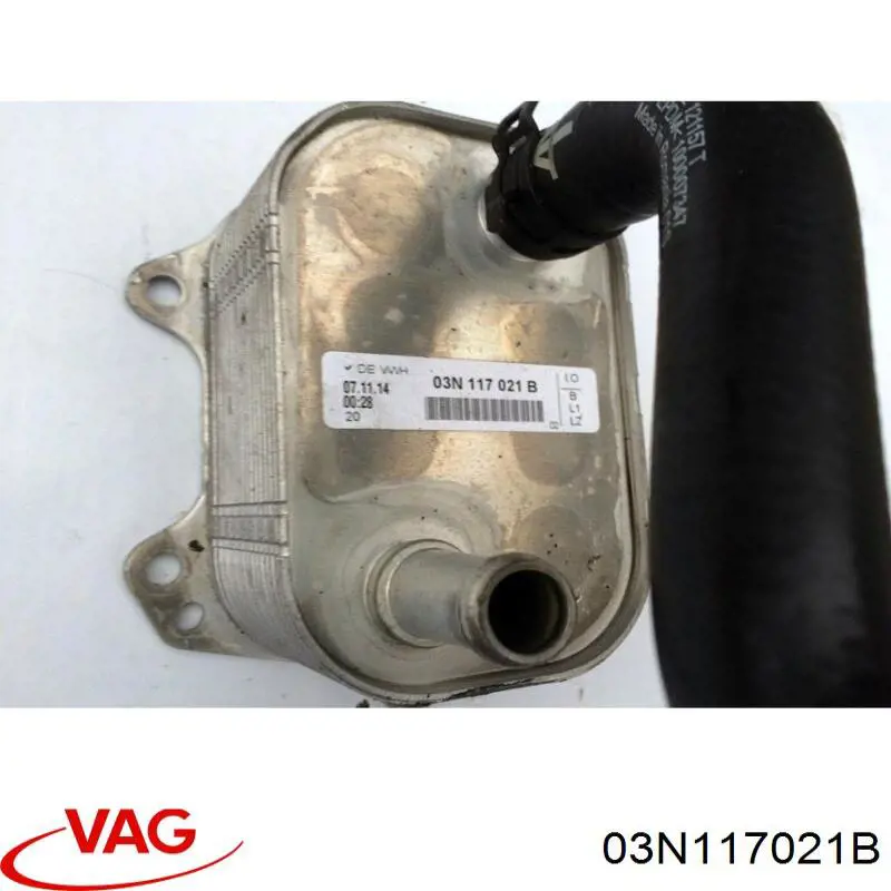 Radiador de óleo 03N117021B VAG