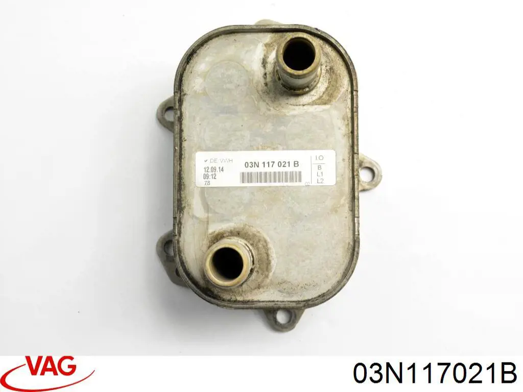 03N117021B VAG Radiador de óleo