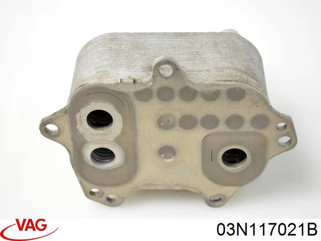 03N117021B VAG Radiador de óleo