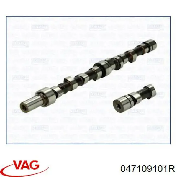 047109101R VAG Árvore distribuidora de motor