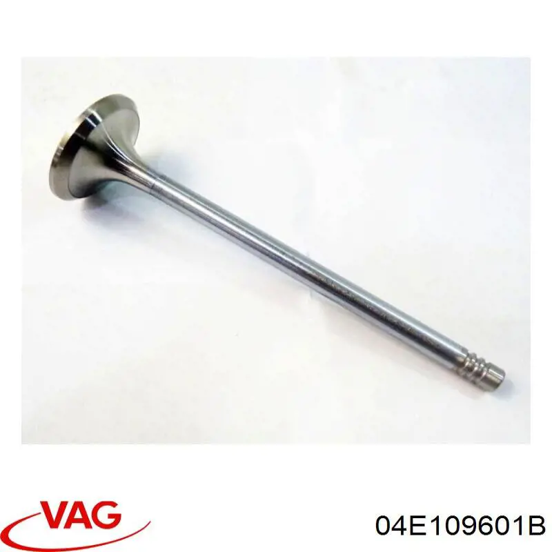 04E109601B VAG Válvula de admissão