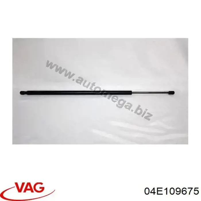 B19239 Borsehung Vedação de válvula (de óleo) de admissão