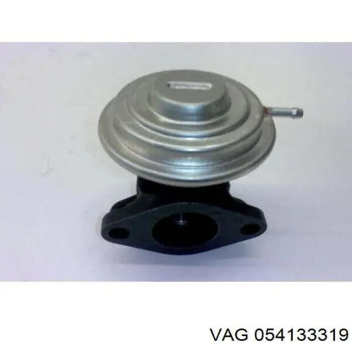 054133319 VAG 