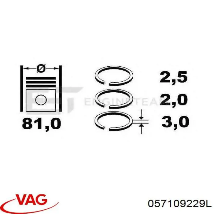 Cadeia esquerda do mecanismo de distribuição de gás VAG 057109229L preço, a partir de 106,15 USD