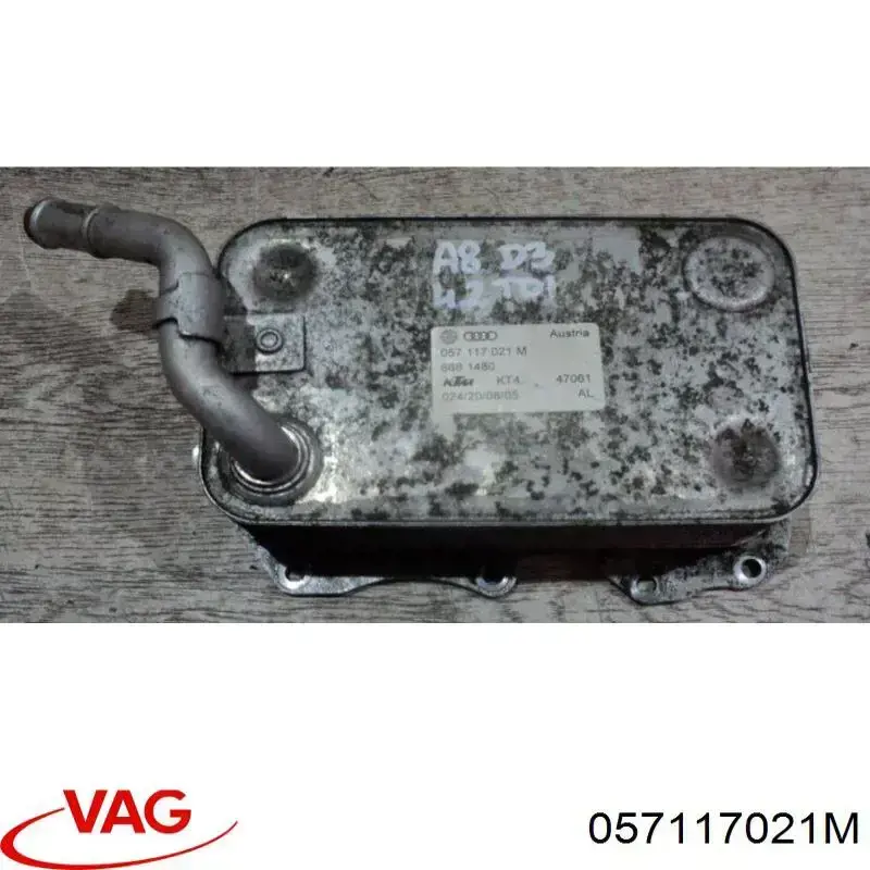 057117021M VAG Radiador de óleo