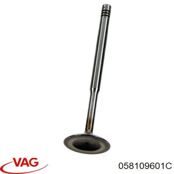 058109601C VAG Válvula de admissão