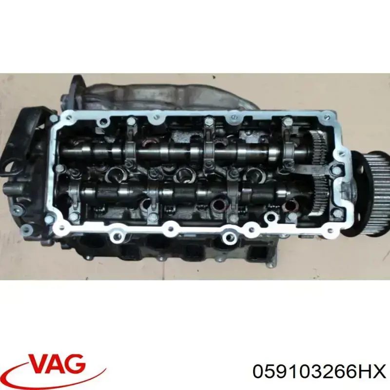 Cabeça de motor (CBC) direita VAG 059103064BA preço, a partir de 452,88 USD