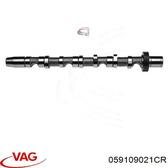 CM052189 Freccia Árvore distribuidora direita de admissão de motor