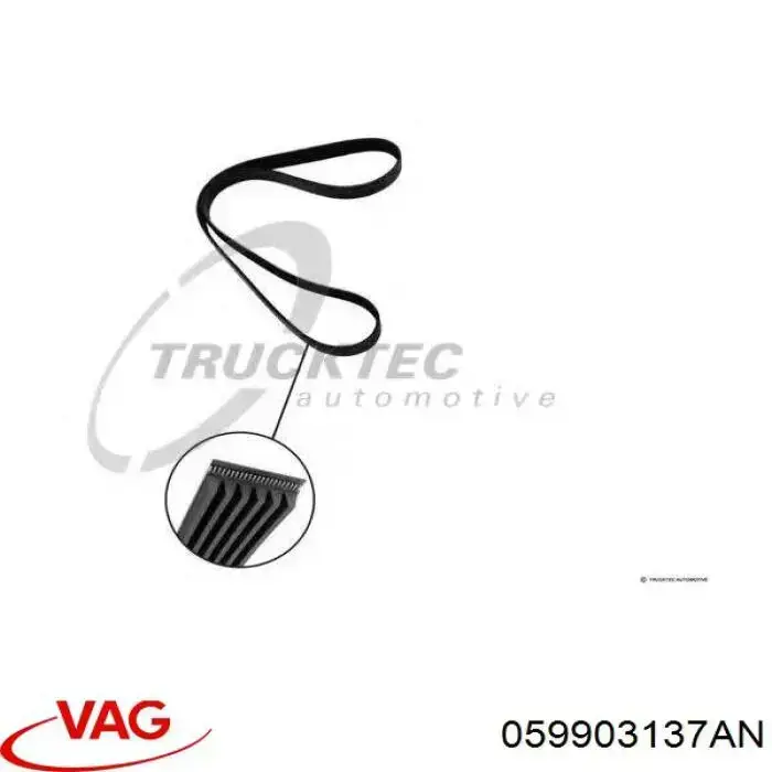 Compre 059903137AN VAG Correia dos conjuntos de transmissão
