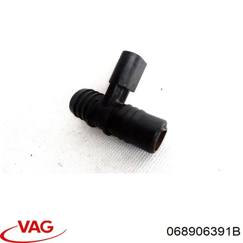 068906391B VAG 