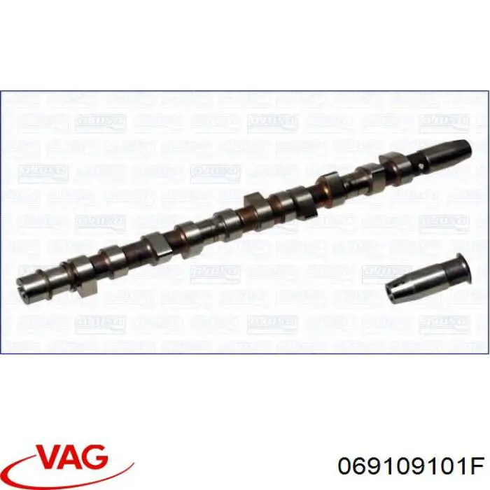 069109101F VAG Árvore distribuidora de motor