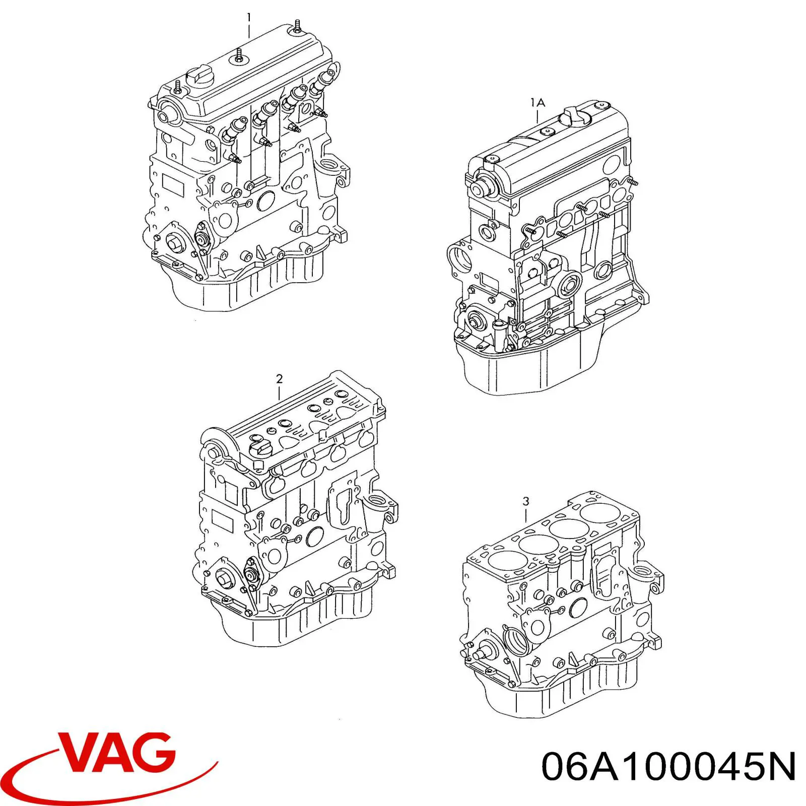 06A100045N VAG Motor montado