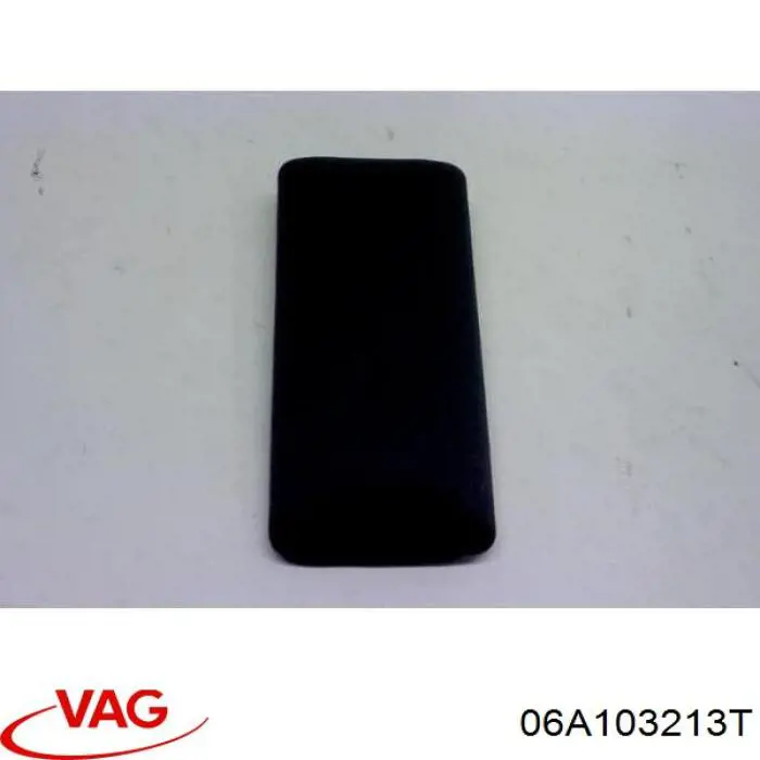 Compre 06A103213T VAG 