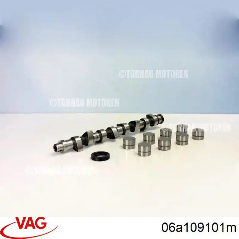 06A109101M VAG Árvore distribuidora de motor