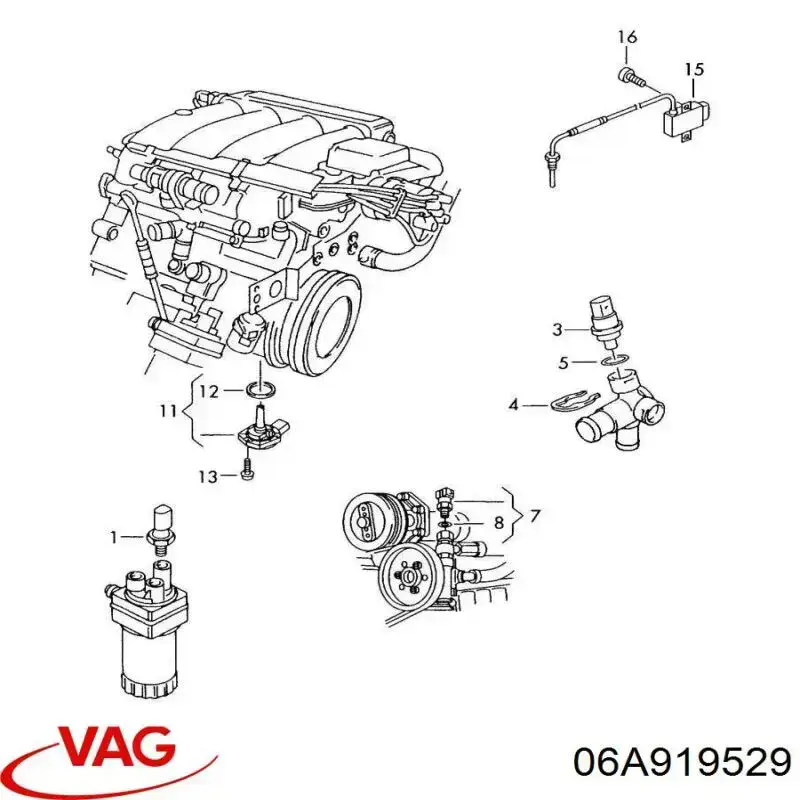 06A919529B VAG Sensor de temperatura de combustível
