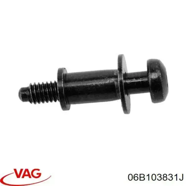 Compre 06B103831F VAG Parafuso da tampa de válvulas CBC