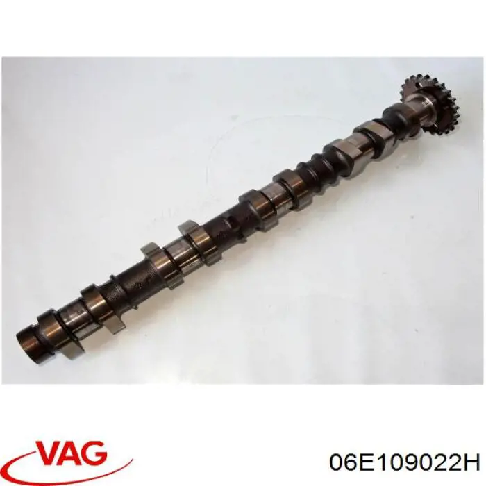 06E109022H VAG 