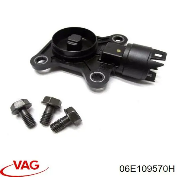 06E109570H VAG Engrenagem de cadeia da roda dentada da árvore distribuidora de motor