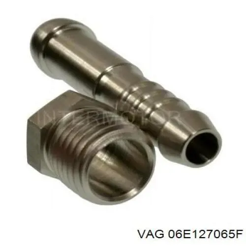 06E127065F VAG 