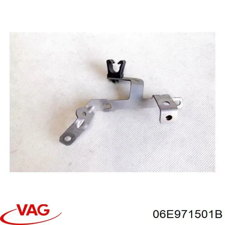 06E971501B VAG 