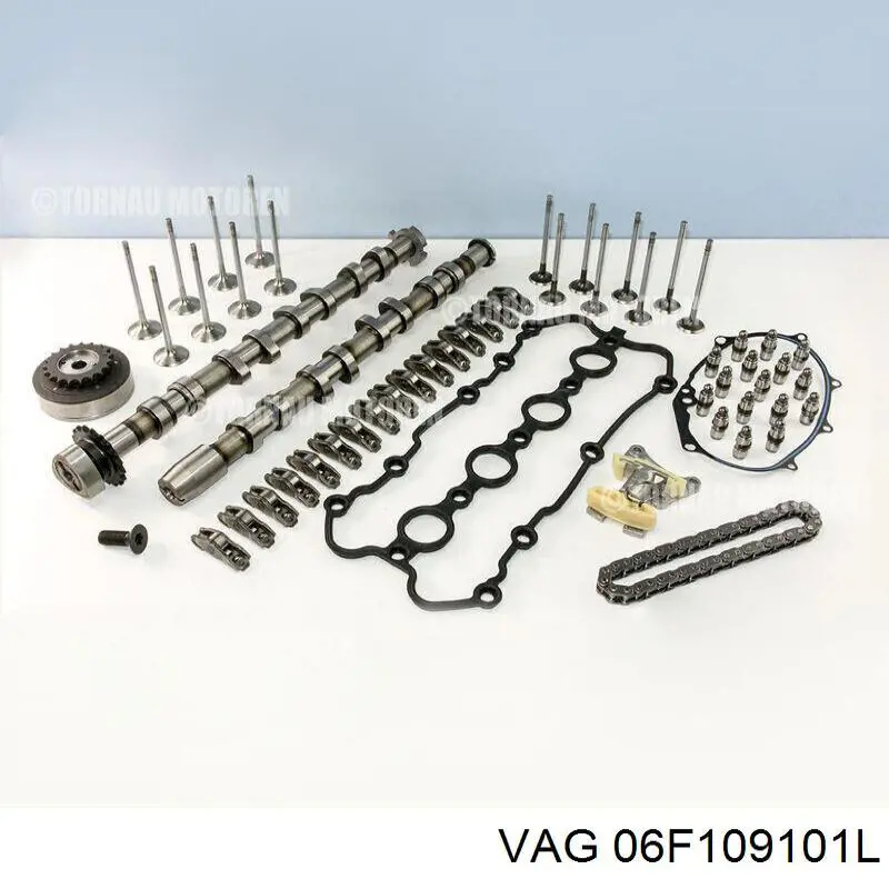 06F109101G VAG Árvore distribuidora de motor de admissão