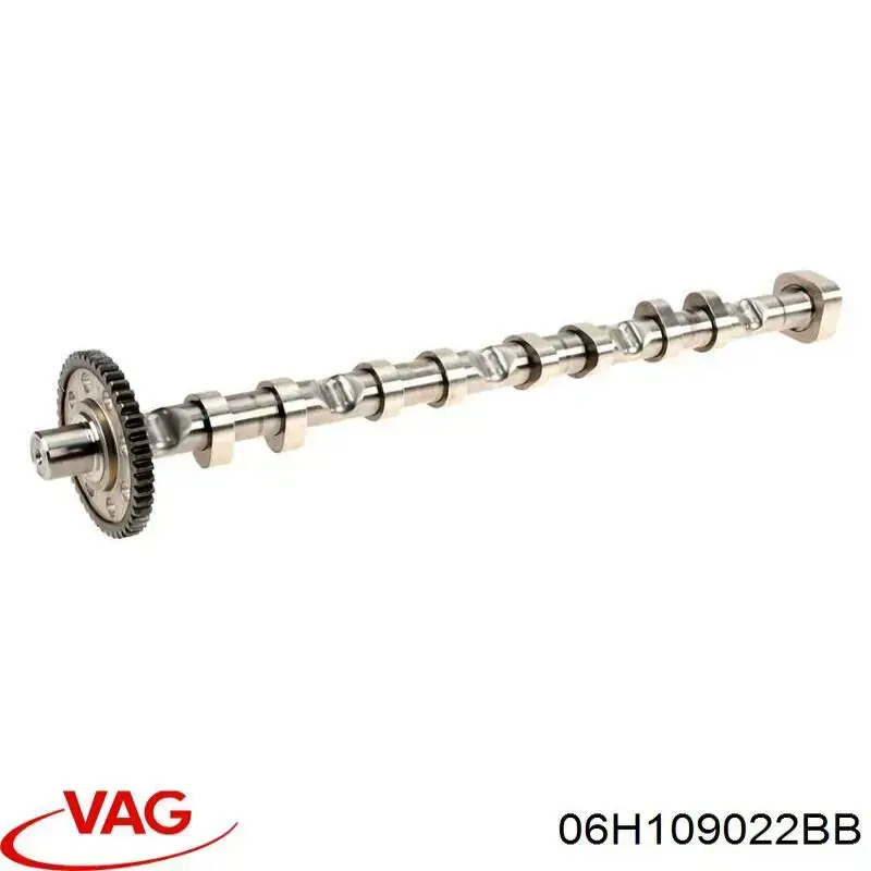 Compre 06H109022M VAG Árvore distribuidora de motor de escape