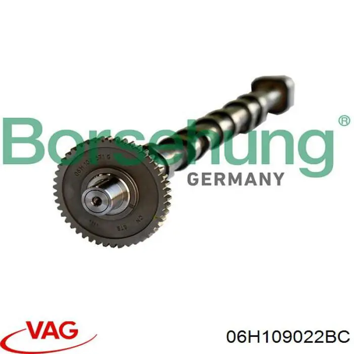 06H109022BC VAG Árvore distribuidora de motor de escape