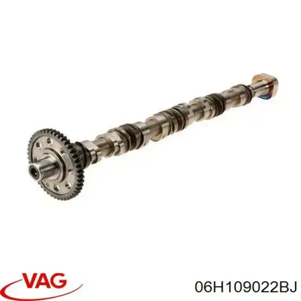06H109022BJ VAG Árvore distribuidora de motor de escape