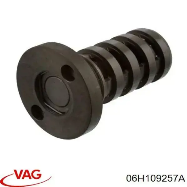 Parafuso hidráulico das fases de distribuição de gás VAG 06H109257A preço, a partir de 30,04 USD