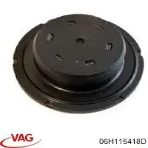 Tampão CBC/do bloco de cilindros VAG 06H115418D preço, a partir de 4,41 USD