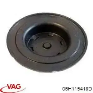 Compre 06H115418D VAG Tampão CBC/do bloco de cilindros