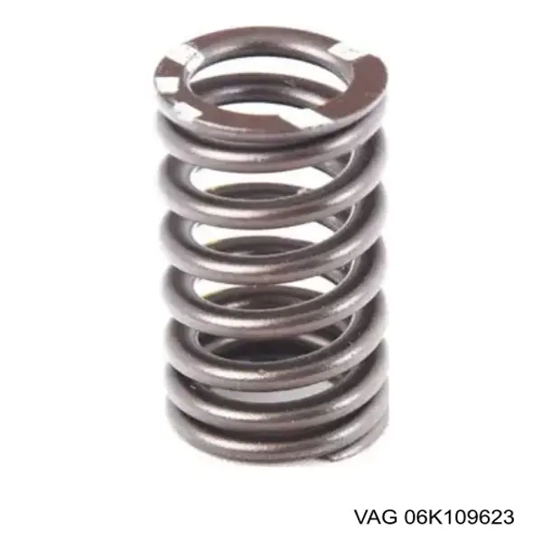 06K109623 VAG Mola de válvula