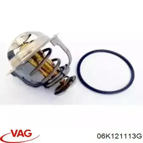 06K121113G VAG Termostato