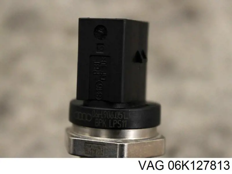 06K127813 VAG 