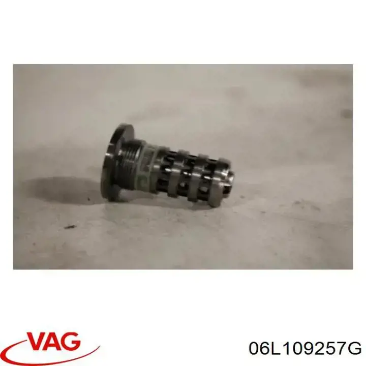 Compre 06L109257G VAG Válvula eletromagnética de posição (de fases) da árvore distribuidora