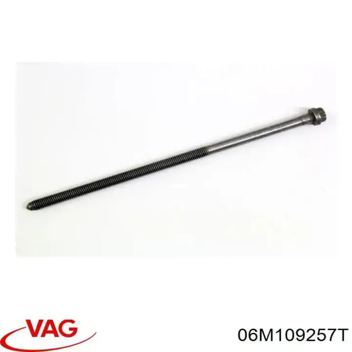 06M109257Q VAG Válvula eletromagnética de posição (de fases) da árvore distribuidora