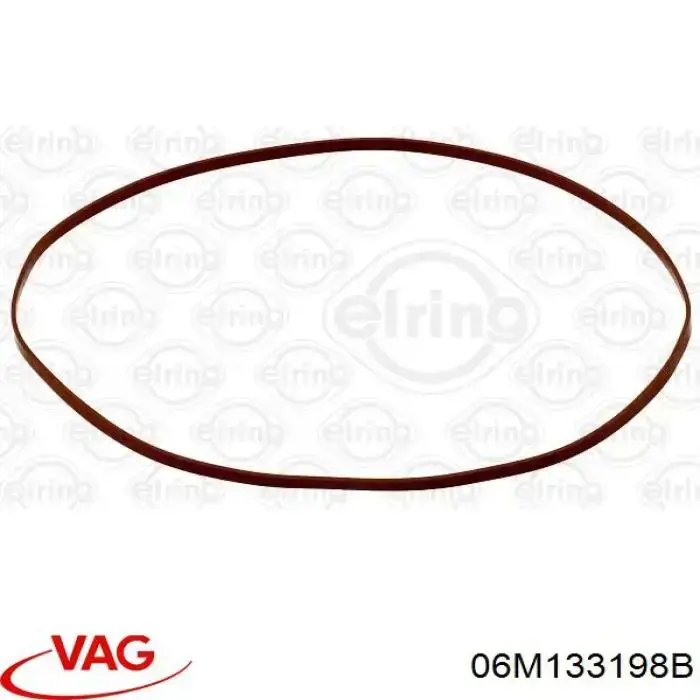06M133198B VAG Vedante de tubo coletor de admissão
