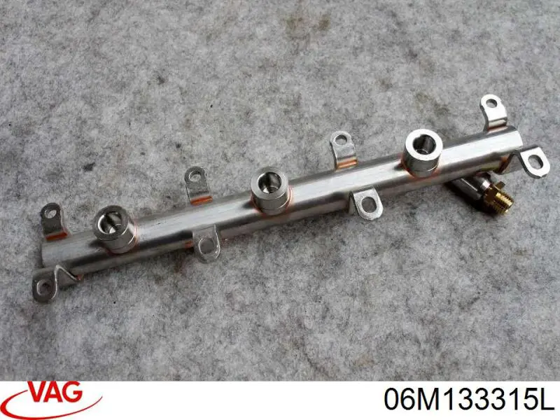 Compre 06M133315L VAG Distribuidor de combustível (rampa) esquerdo