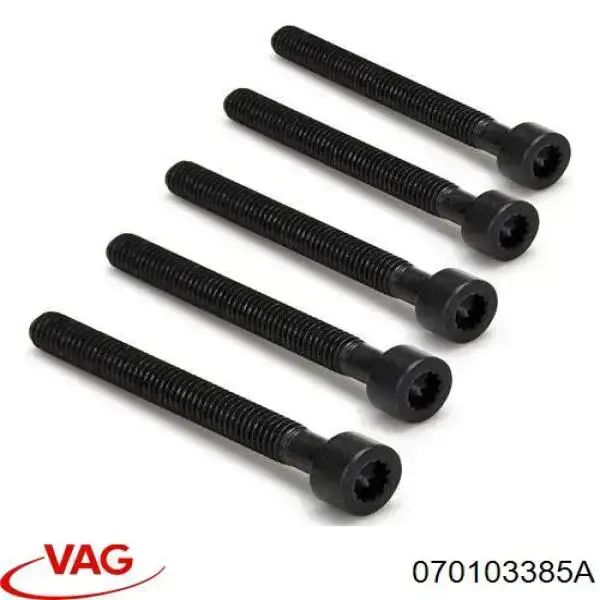 Compre 99703 3RG Parafuso de fixação do injetor