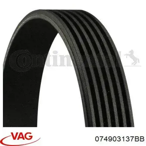Correia dos conjuntos de transmissão VAG 074903137BB preço, a partir de 20,95 USD