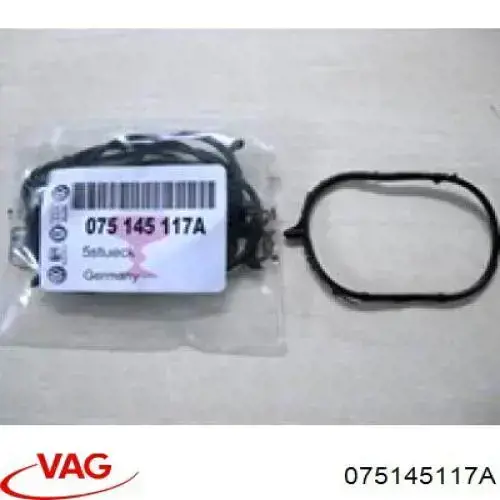Vedante de bomba de vácuo VAG 075145117A preço, a partir de 2,55 USD