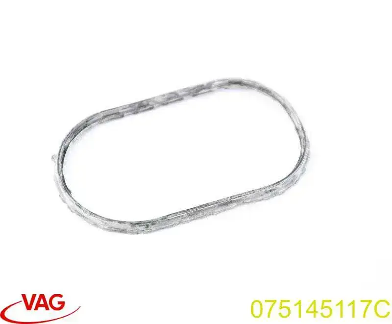 Vedante de bomba de vácuo VAG 075145117C preço, a partir de 8,93 USD