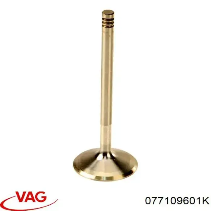 077109601K VAG Válvula de admissão
