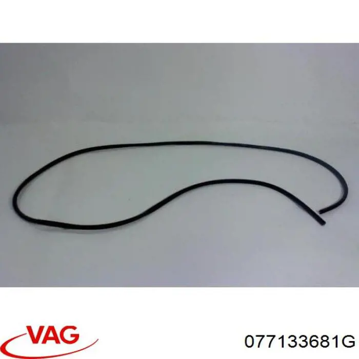 077133681G VAG Distribuidor de combustível (rampa)