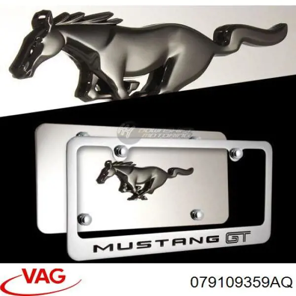 Compre 079109359AQ VAG 